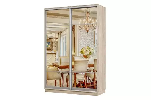 Шкаф-купе 2-дверный Практик