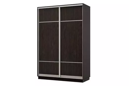 Шкаф-купе 2-дверный Практик