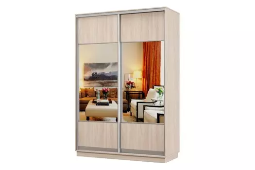 Шкаф-купе 2-дверный Практик