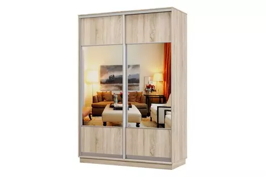 Шкаф-купе 2-дверный Практик