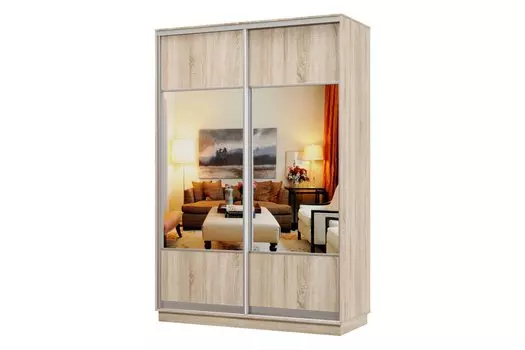 Шкаф-купе 2-дверный Практик