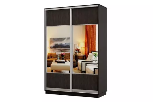 Шкаф-купе 2-дверный Практик