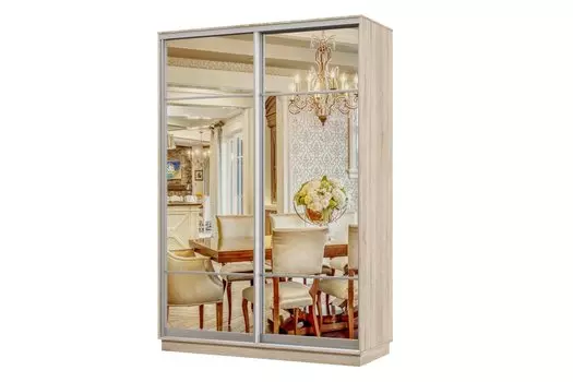 Шкаф-купе 2-дверный Практик