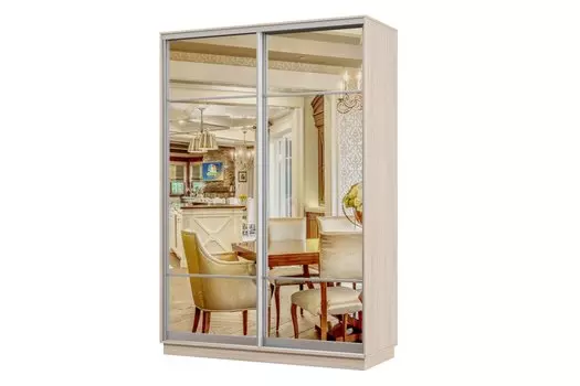 Шкаф-купе 2-дверный Практик