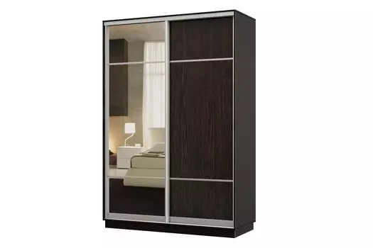 Шкаф-купе 2-дверный Практик