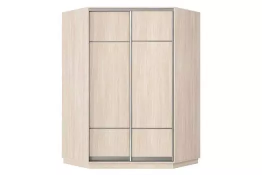 Шкаф-купе угловой 2-дверный Практик 71