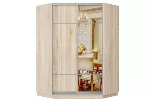 Шкаф-купе 2-дверный Практик 71