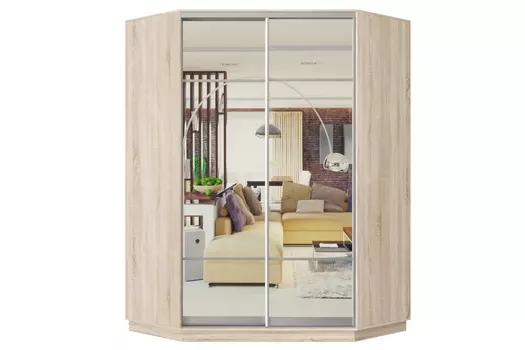 Шкаф-купе 2-дверный Практик 71