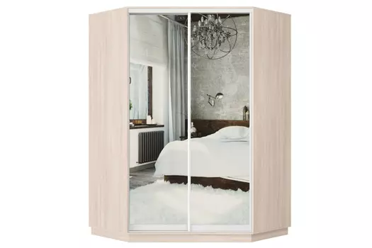 Шкаф-купе 2-дверный Практик 71