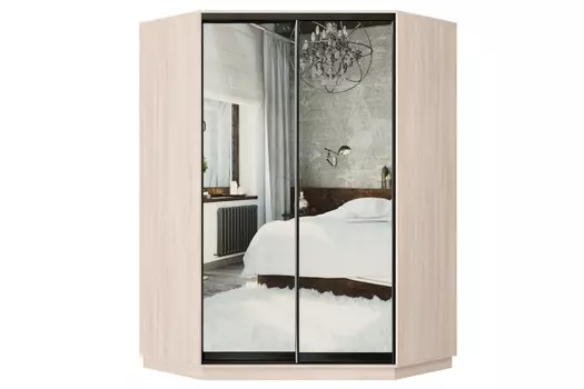 Шкаф-купе 2-дверный Практик 71