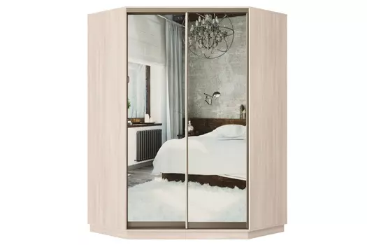 Шкаф-купе 2-дверный Практик 71