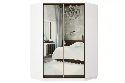 Шкаф-купе 2-дверный Практик 71