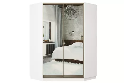 Шкаф-купе 2-дверный Практик 71