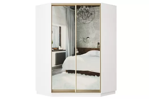 Шкаф-купе 2-дверный Практик 71