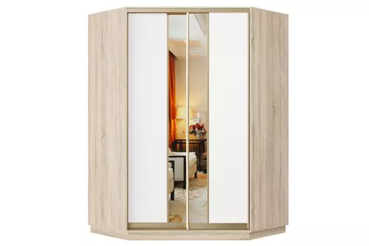 Шкаф-купе 2-дверный Практик 71