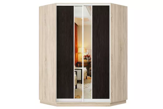 Шкаф-купе 2-дверный Практик 71