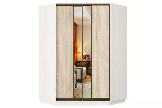 Шкаф-купе 2-дверный Практик 71