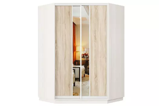 Шкаф-купе 2-дверный Практик 71