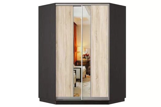 Шкаф-купе 2-дверный Практик 71