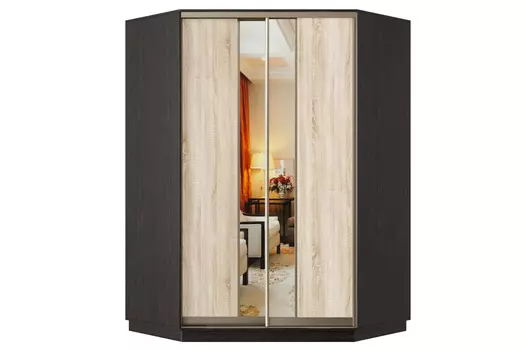 Шкаф-купе 2-дверный Практик 71