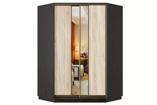 Шкаф-купе 2-дверный Практик 71