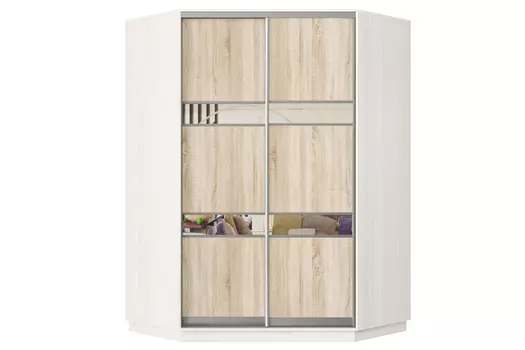Шкаф-купе 2-дверный Практик 71
