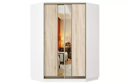 Шкаф-купе 2-дверный Практик 71