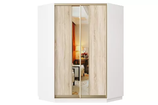 Шкаф-купе 2-дверный Практик 71