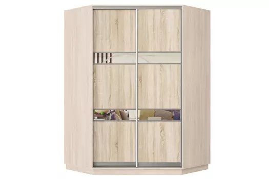 Шкаф-купе 2-дверный Практик 71