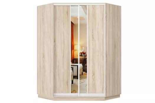 Шкаф-купе 2-дверный Практик 71
