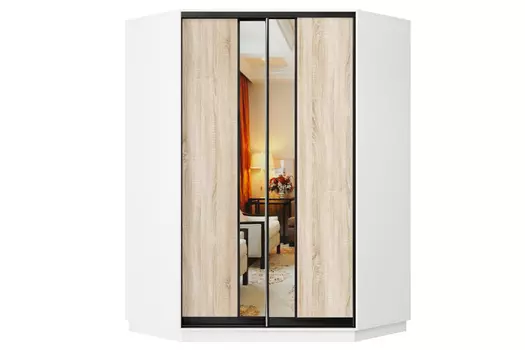 Шкаф-купе 2-дверный Практик 71