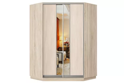 Шкаф-купе 2-дверный Практик 71