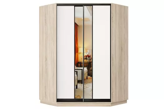 Шкаф-купе 2-дверный Практик 71