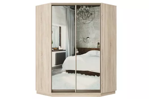 Шкаф-купе 2-дверный Практик 71