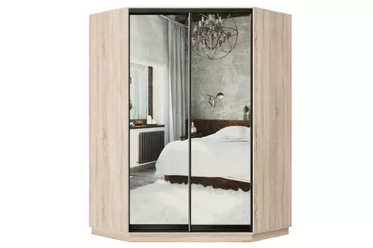 Шкаф-купе 2-дверный Практик 71