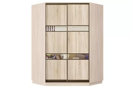 Шкаф-купе 2-дверный Практик 71