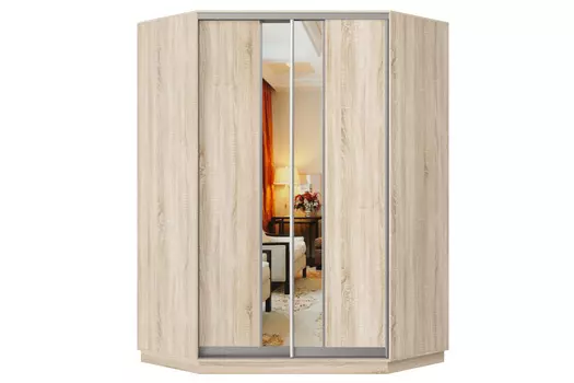 Шкаф-купе 2-дверный Практик 71