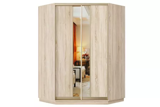Шкаф-купе 2-дверный Практик 71