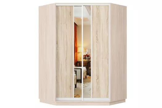 Шкаф-купе 2-дверный Практик 71