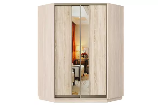 Шкаф-купе 2-дверный Практик 71