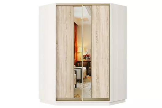 Шкаф-купе 2-дверный Практик 71