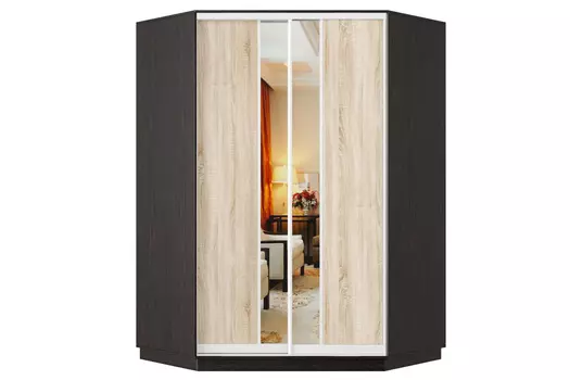 Шкаф-купе 2-дверный Практик 71