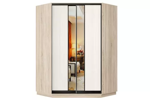 Шкаф-купе 2-дверный Практик 71