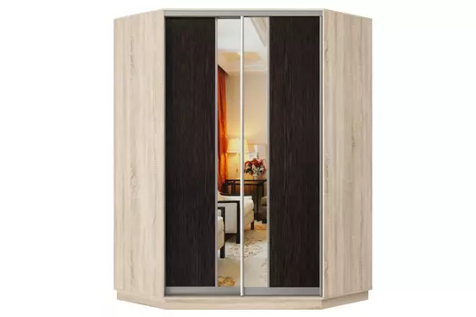 Шкаф-купе 2-дверный Практик 71