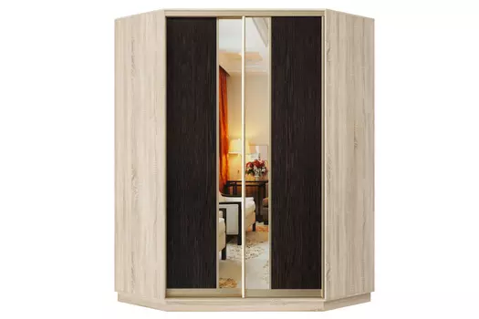 Шкаф-купе 2-дверный Практик 71