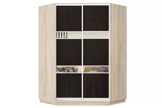 Шкаф-купе 2-дверный Практик 71