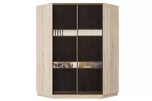 Шкаф-купе 2-дверный Практик 71
