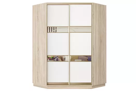 Шкаф-купе 2-дверный Практик 71