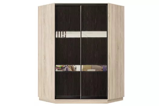 Шкаф-купе 2-дверный Практик 71