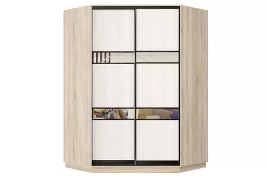 Шкаф-купе 2-дверный Практик 71